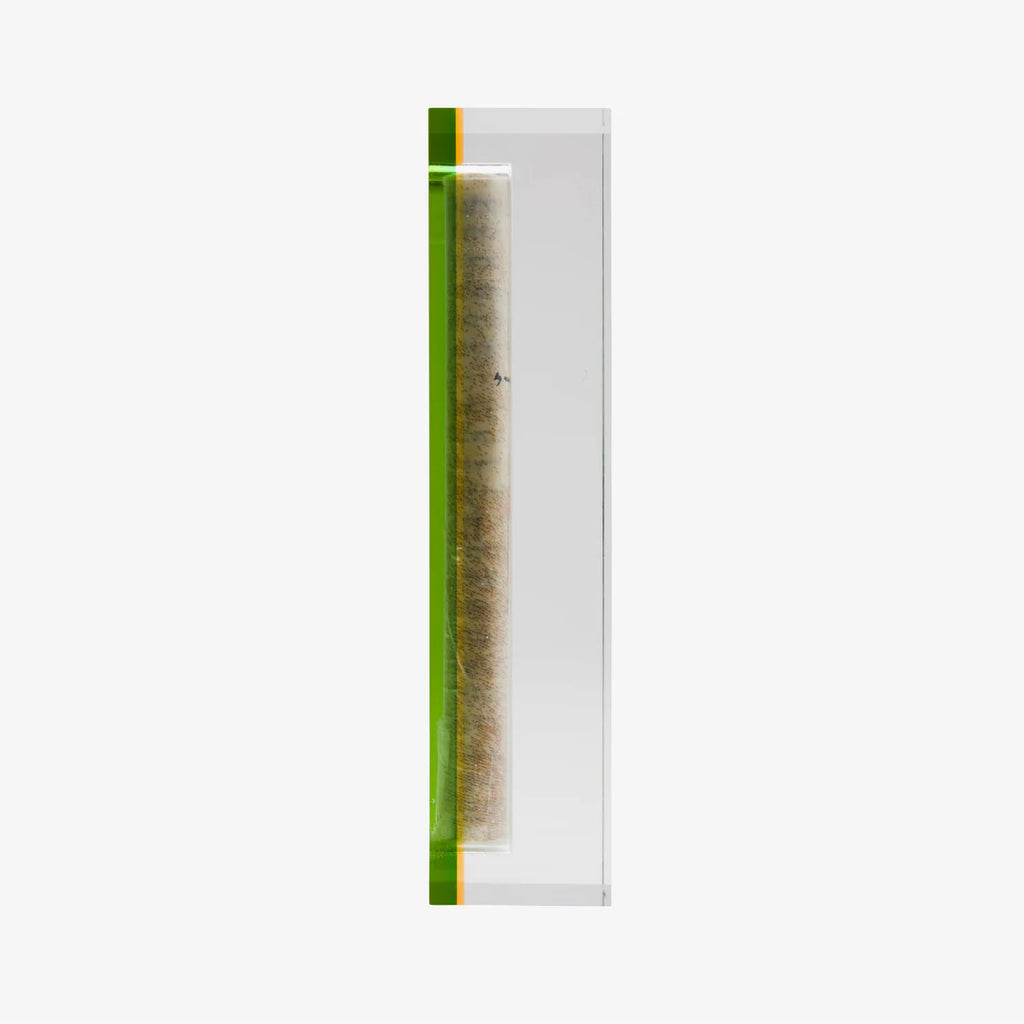 The Lucite Mezuzah Small Olive