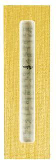 The Lucite Mezuzah Medium Gold