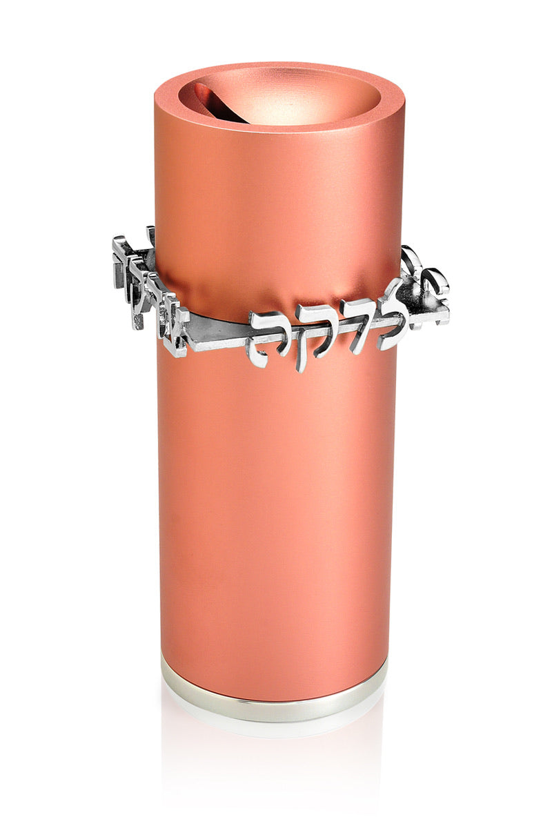 Tzedakah Box Pink
