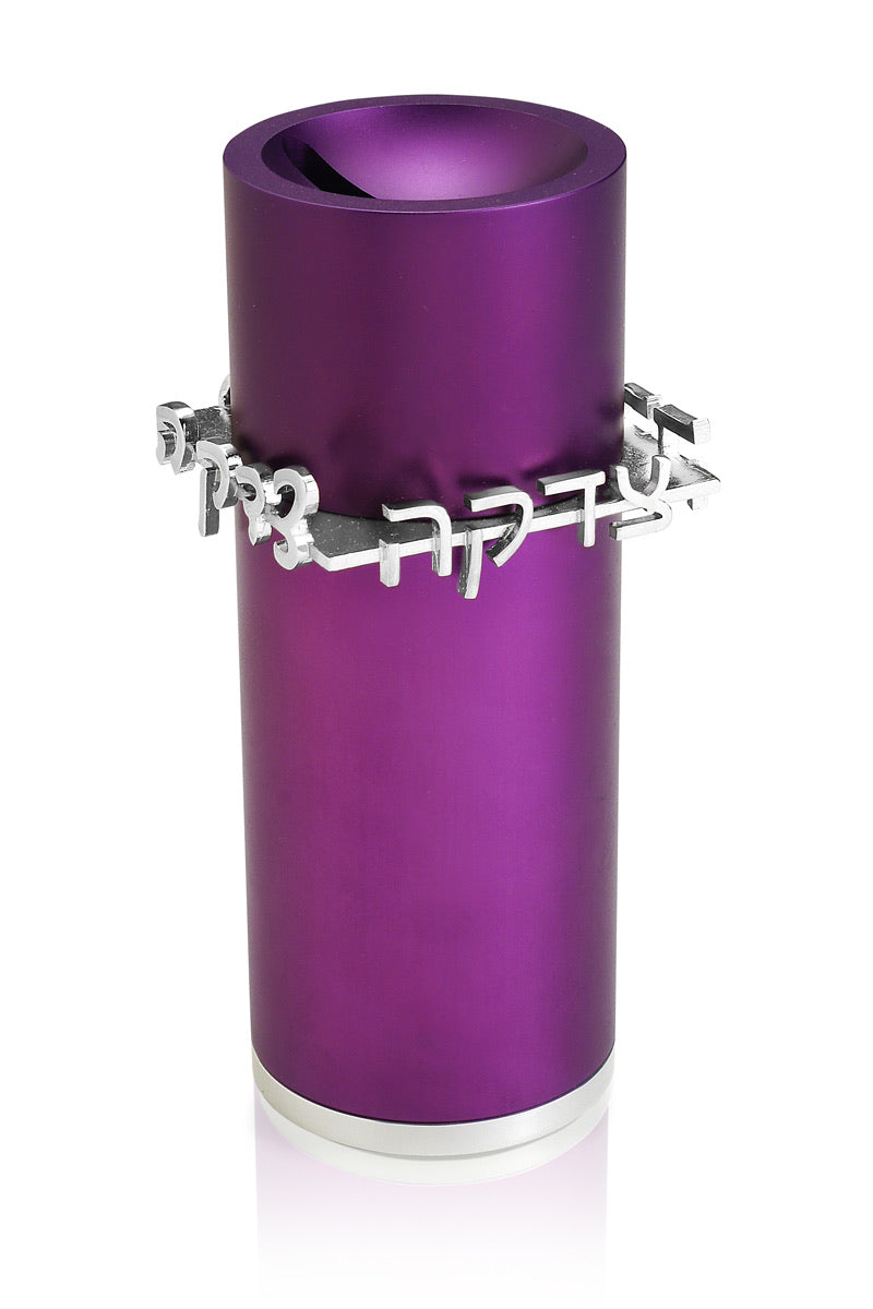 Tzedakah Box Purple